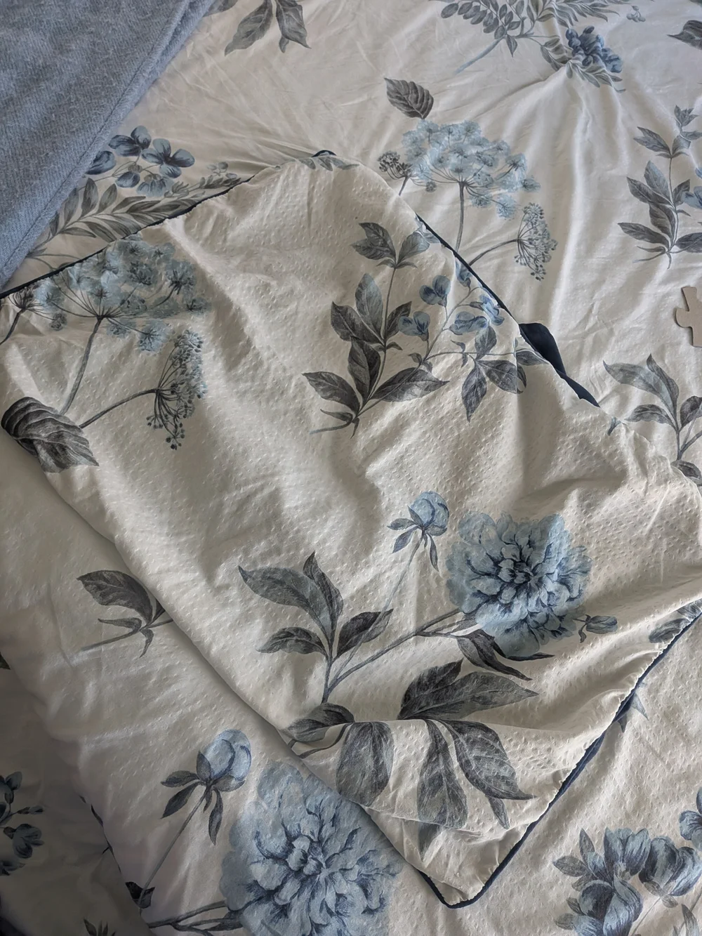 Madison Park Blue and Navy Floral Cotton Comforter 6 Piece Set